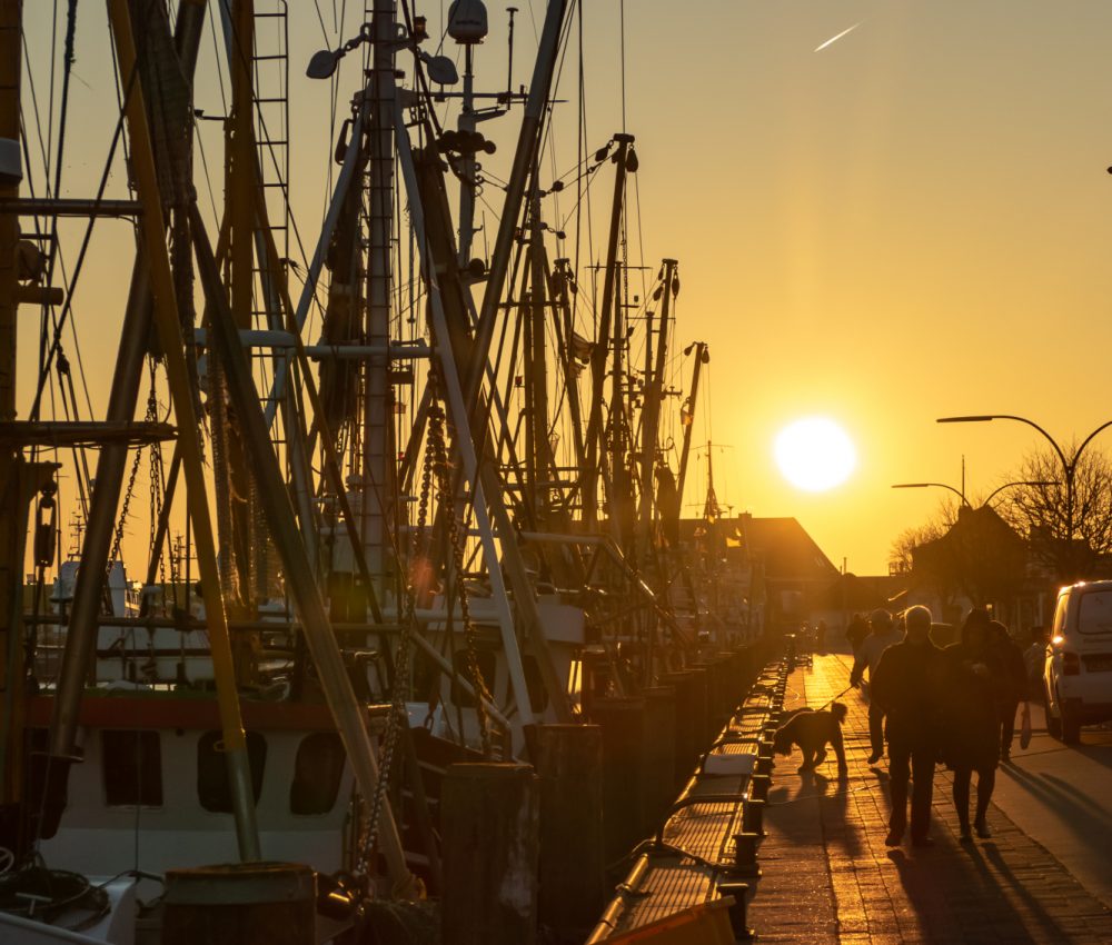 Hafenmacker Über uns - Hafen Büsum bei Sonnenuntergang
